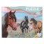 Miss Melody puzzle 100pcs