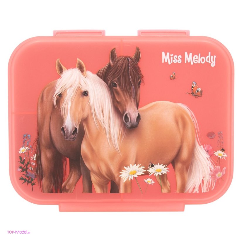Desiatový box Miss Melody FLOWERS