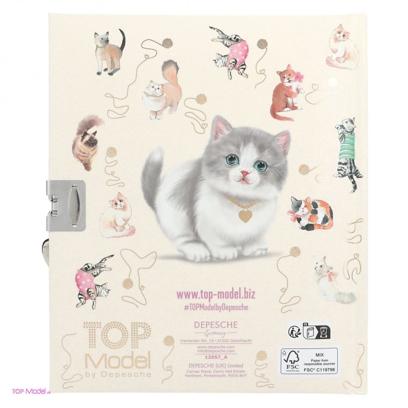 Denník so zámkom TOPModel KITTY
