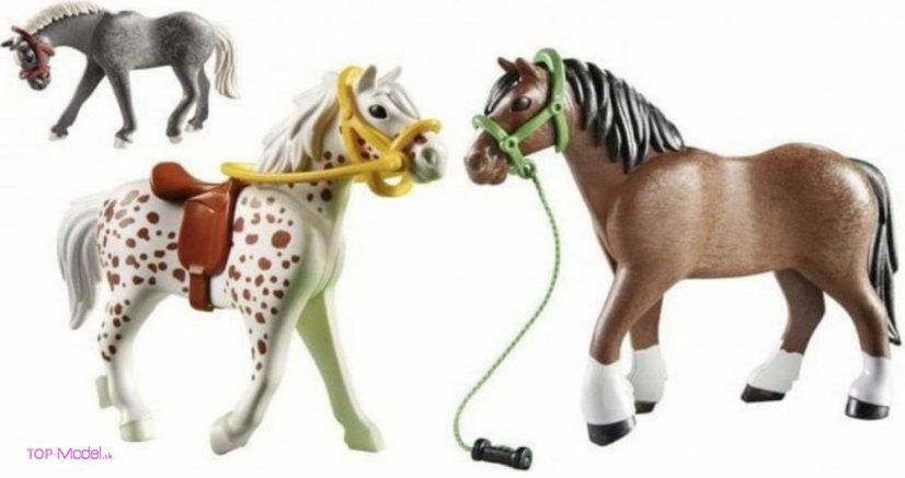 Playmobil 70683 Tri kone