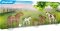 Playmobil 70682 Poníky so žriebätkami