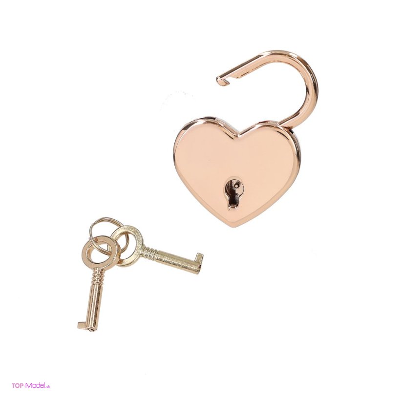 TOPModel Denník s tajným perom