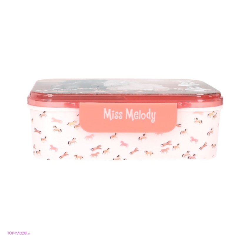 Miss Melody Desiatový box  BLOSSOM PONY