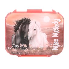 Miss Melody Desiatový box BLOSSOM PONY