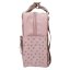 Miniplecniak TOPModel DOTS