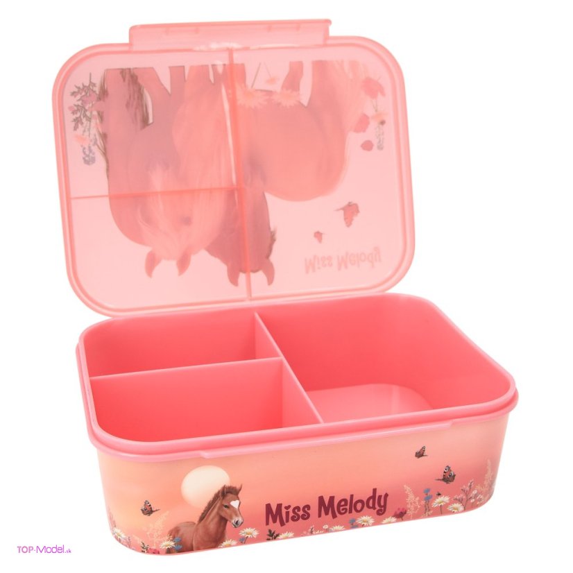 Desiatový box Miss Melody FLOWERS