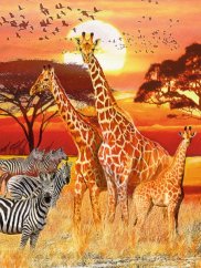 Ravensburger Puzzle Africký západ slnka 1500 dielov