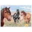 Miss Melody puzzle 100pcs